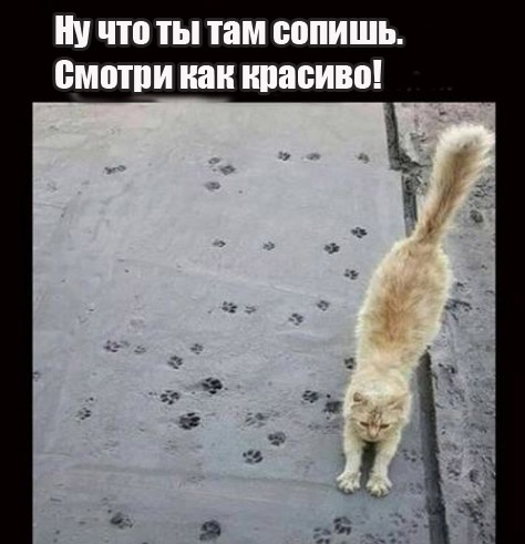 Так себе картинки 11.09.23