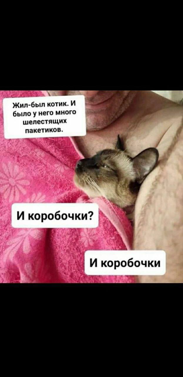 Отряд быстрого деградирования
