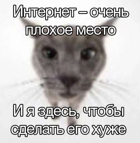 Всего понемногу. От 15.01.2024