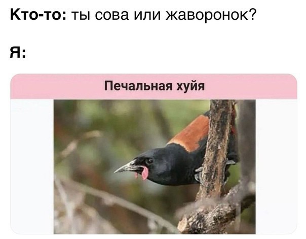 Всего понемногу. От 19.01.24