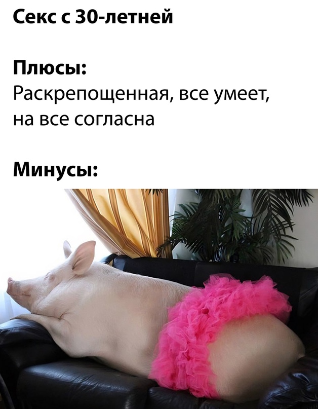 Весёлый полтишок 04.03.24
