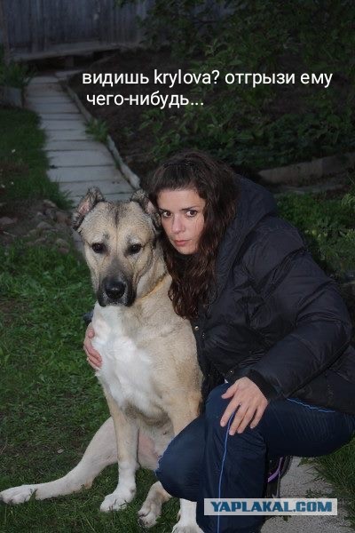 Давайте лица