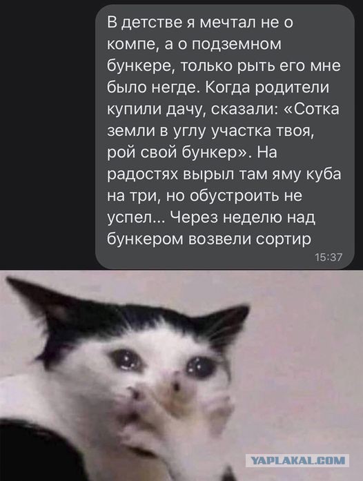 Завалялось тут случайно немного забавных картинок