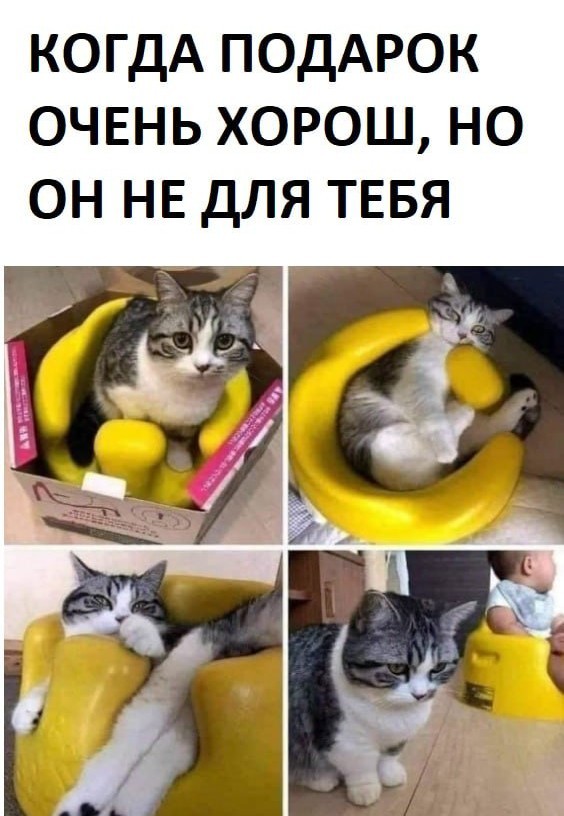 Всего понемногу. От 23.08