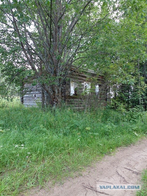 Немного фотографий из жизни одной деревни