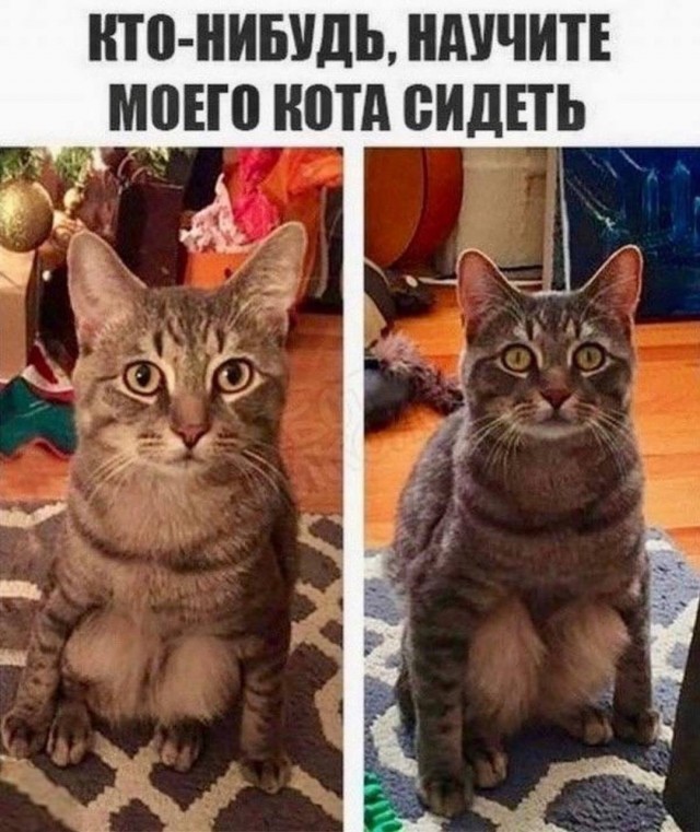 Завалялось тут случайно немного забавных картинок
