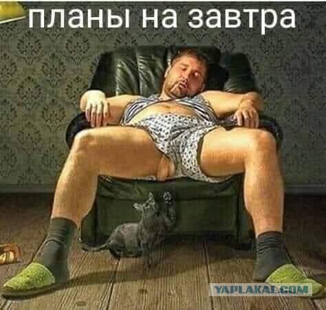 Достал уже 2025-й