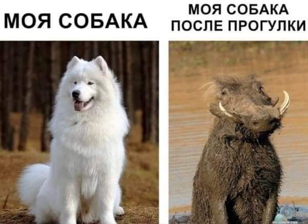 Завалялось тут случайно немного забавных картинок