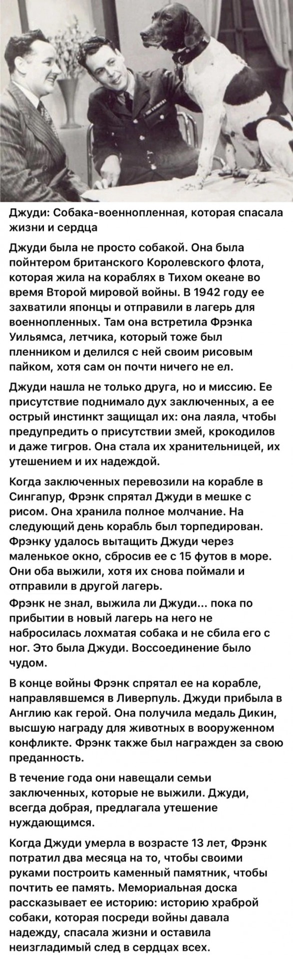 Редкие кадры и архивные снимки 25.06.25