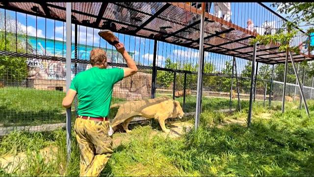 Так себе картинки 16.07.25