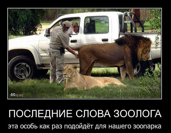 Рамки, буквы, короче - опытная (ну, или старая) дичь