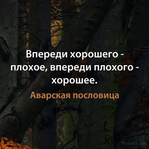 Картинки для деградации 74 (разной степени свежести)