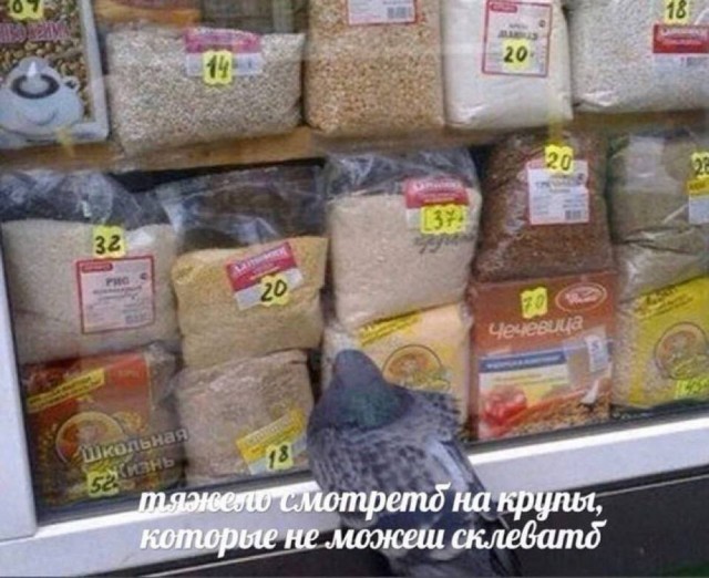 Картинки для деградации 93 (разной степени свежести)