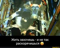 Как быстро проходит мирская слава