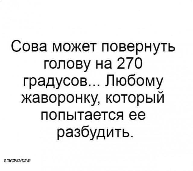Немного картинок во вторник