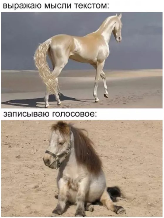 Картиночки, баянчики 15 августа