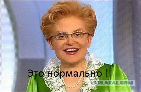 Дрочило на болотах