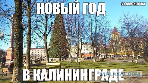 США, жадность и мороз