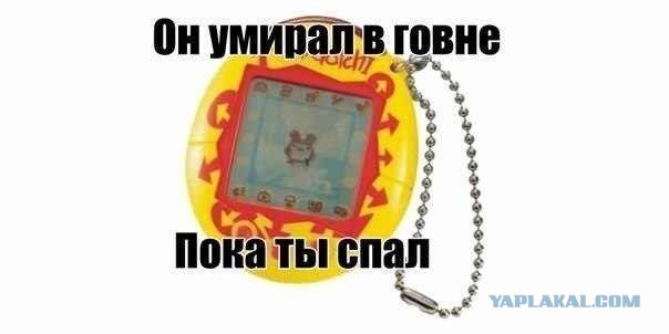 Смешные картинки
