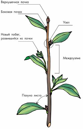 Если бы афиши к фильмам рисовали по названию