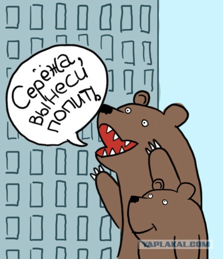 Три медведя у нас в гостях!
