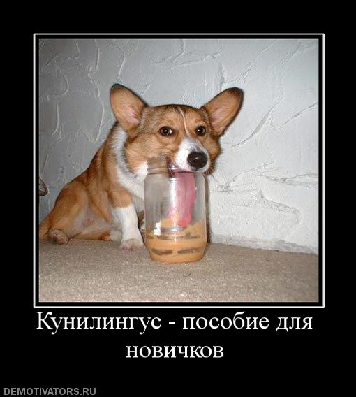 Как сподвигнуть мужчину на куннилингус