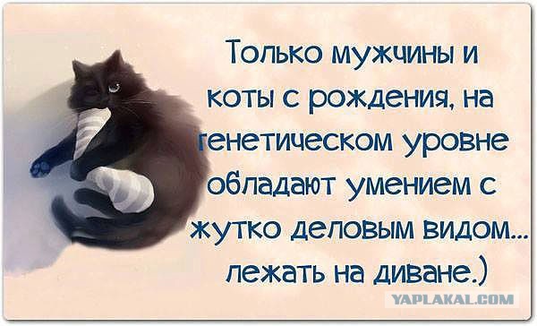 Поднимаем настроение