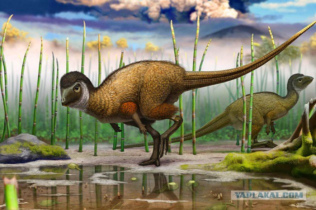 Удивительные открытия в палеонтологии