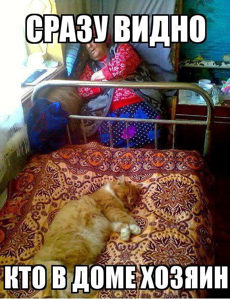 Прикольная пятницо