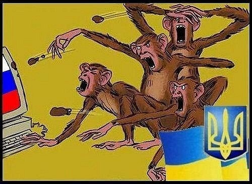 Выборы в Новороссии