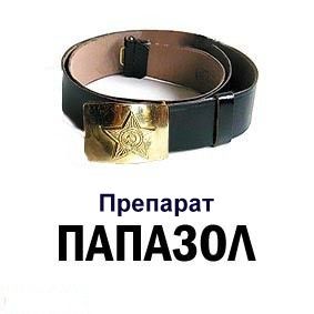 Как папа ездил в гости