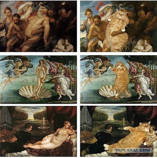 Коты и искусство