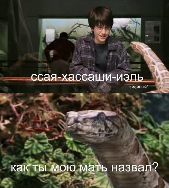 Пятничная подборка