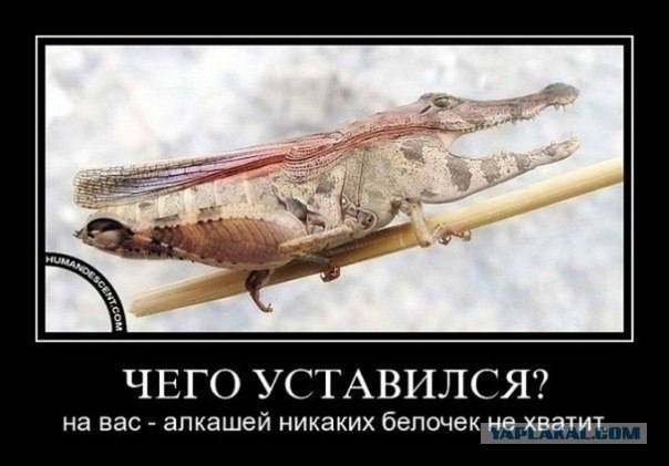Стадии алкоголизма