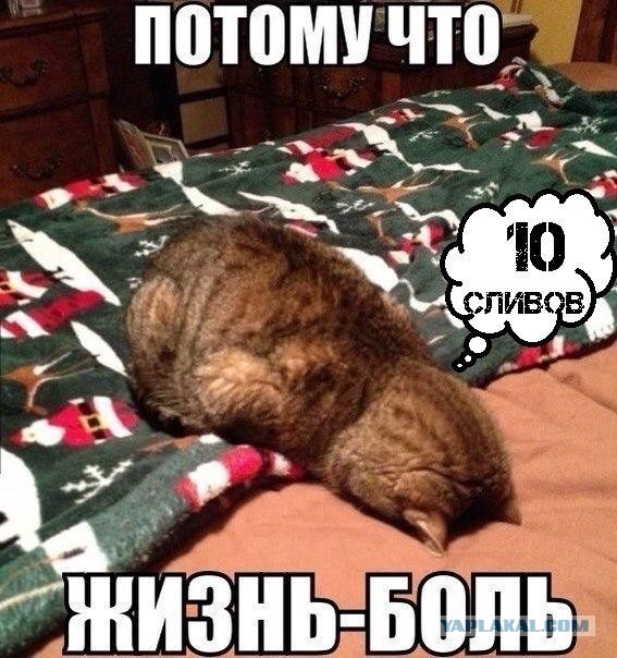 Wargaming 21