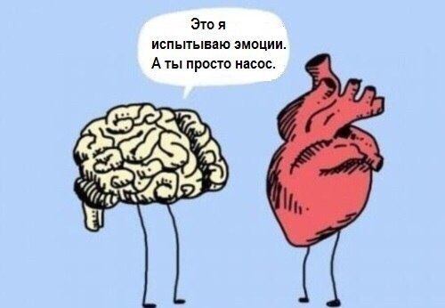 Картинки из инета