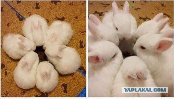картинки на выходные