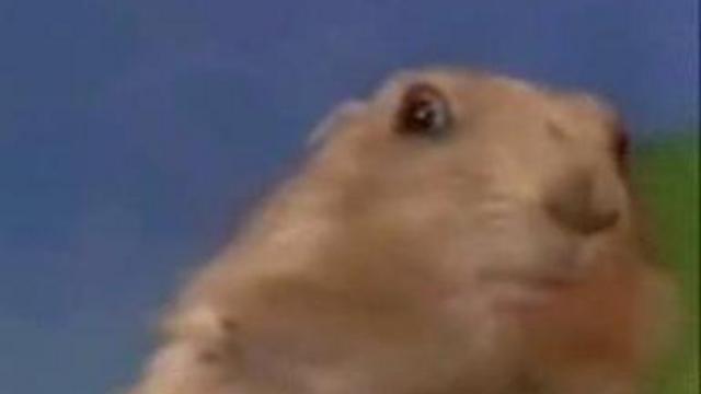 В Кремле насторожились из-за колебания курса рубля