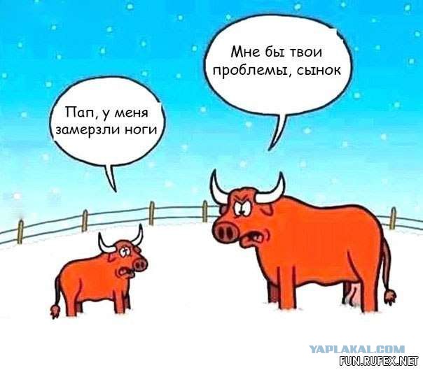 Смешные комментарии 07.01.2016