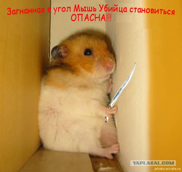 Радикальное утепление!
