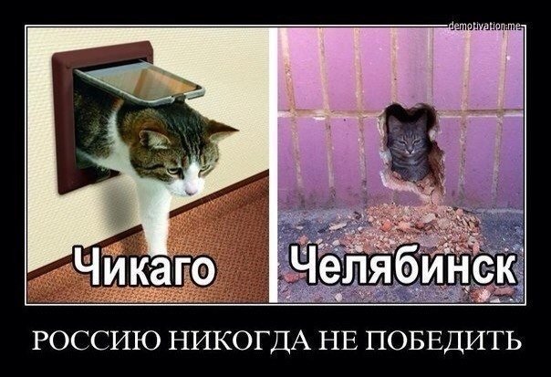 Веселые картинки