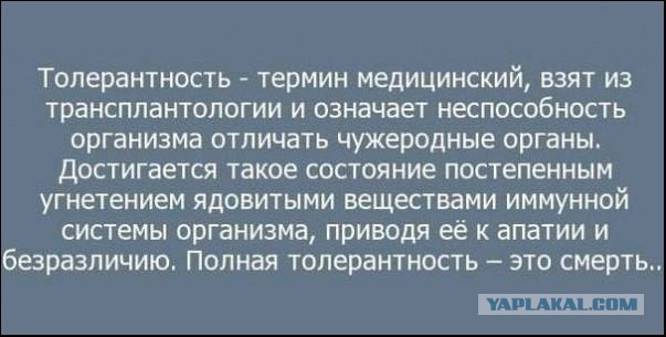 Хулиганы нашего двора. Осторожно мат 18+!