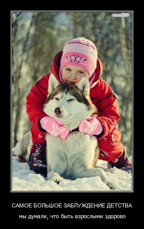 Подборка интересных и веселых картинок