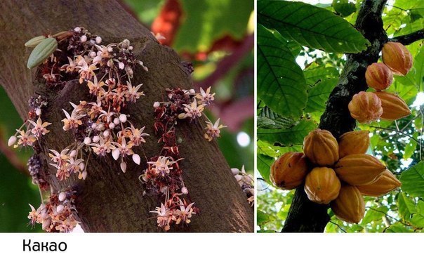 Интересные и веселые картинки