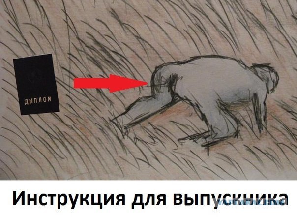 Комментарии, подписи, текстовые приколы