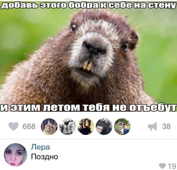 Ужасы и приколы из соцсетей 18+