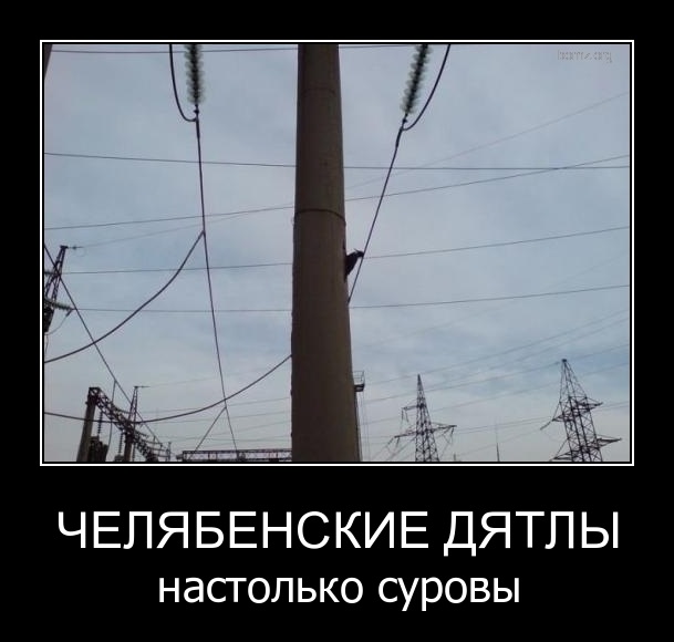 Смешные картинки с надписями