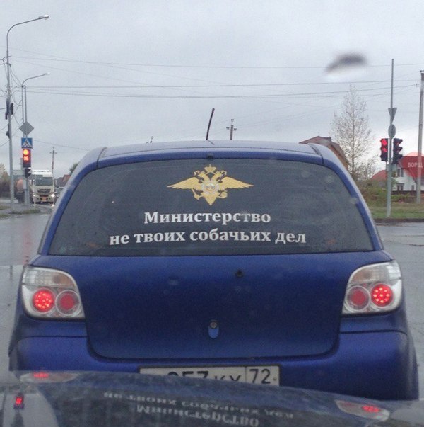 Картинки с интернетов