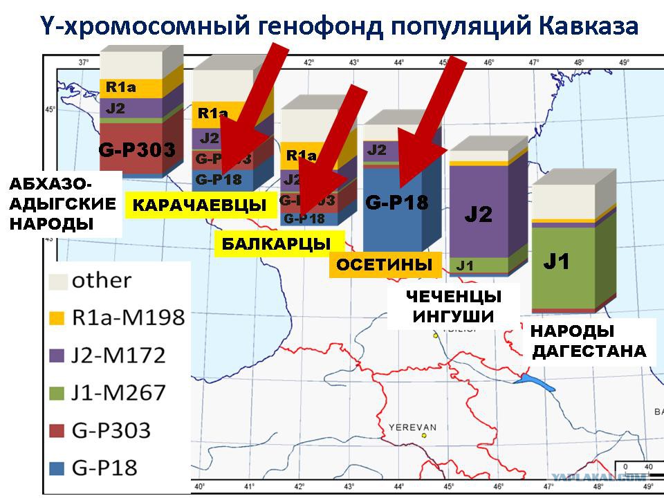 Грузинский днк проект