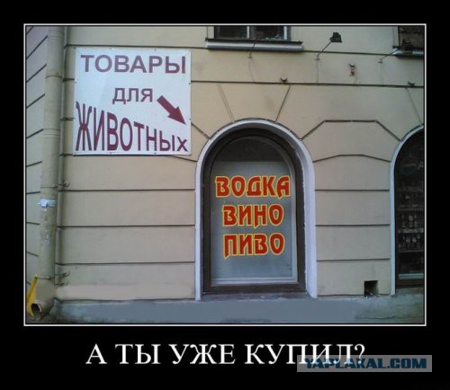 Высказывания и мысли в картинках